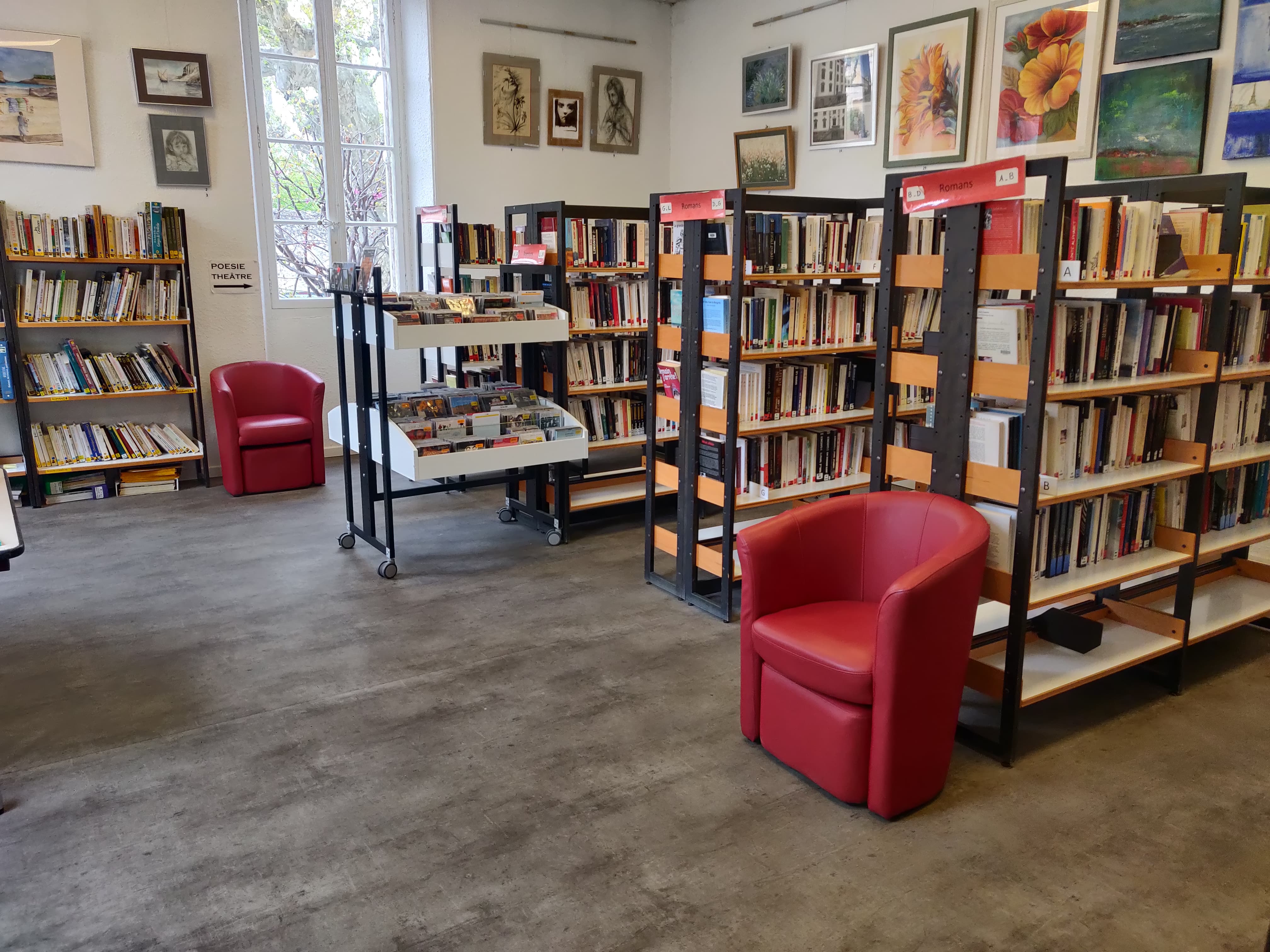 L'espace adultes, la fiction