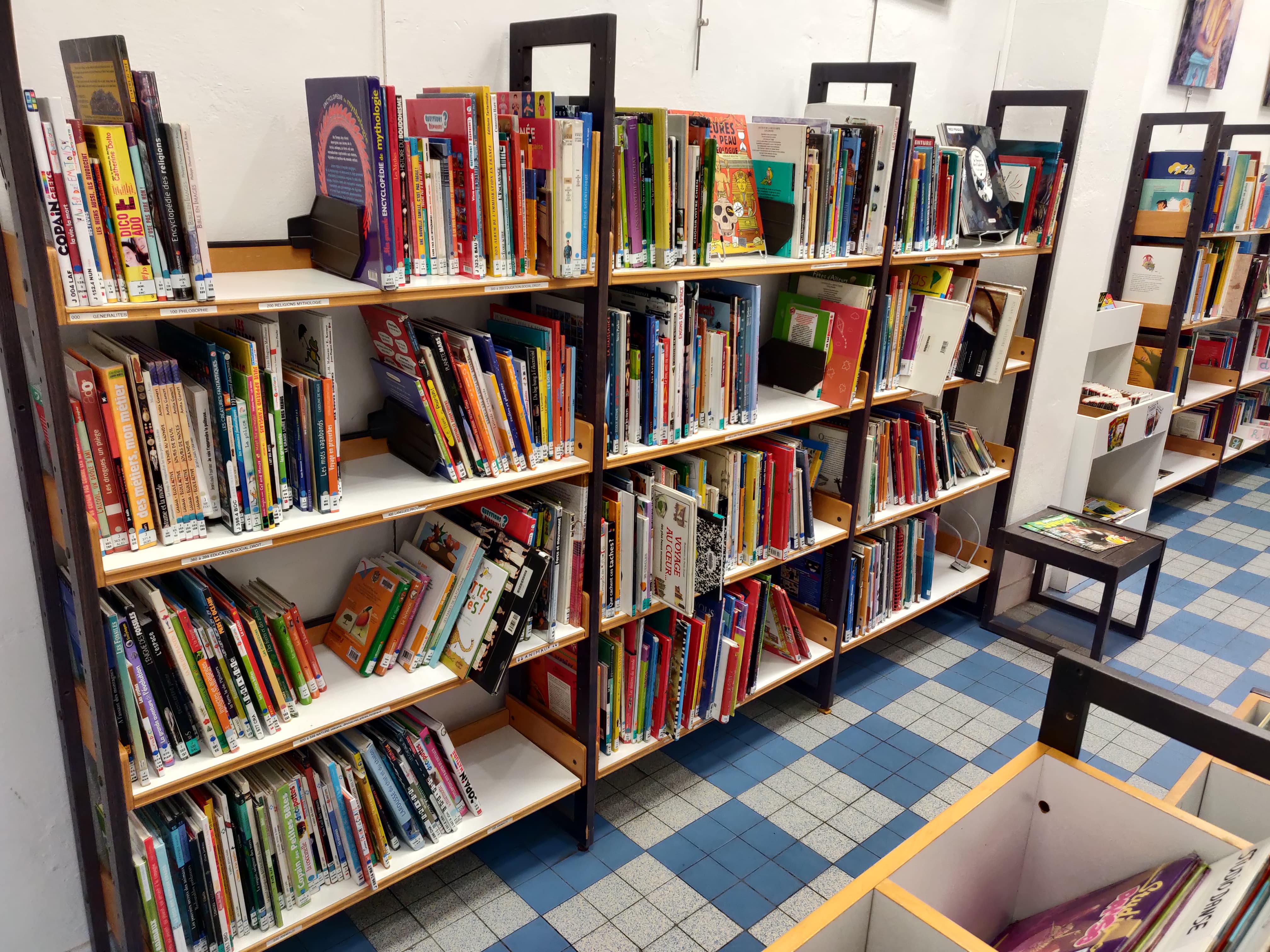 Les documentaires jeunesse